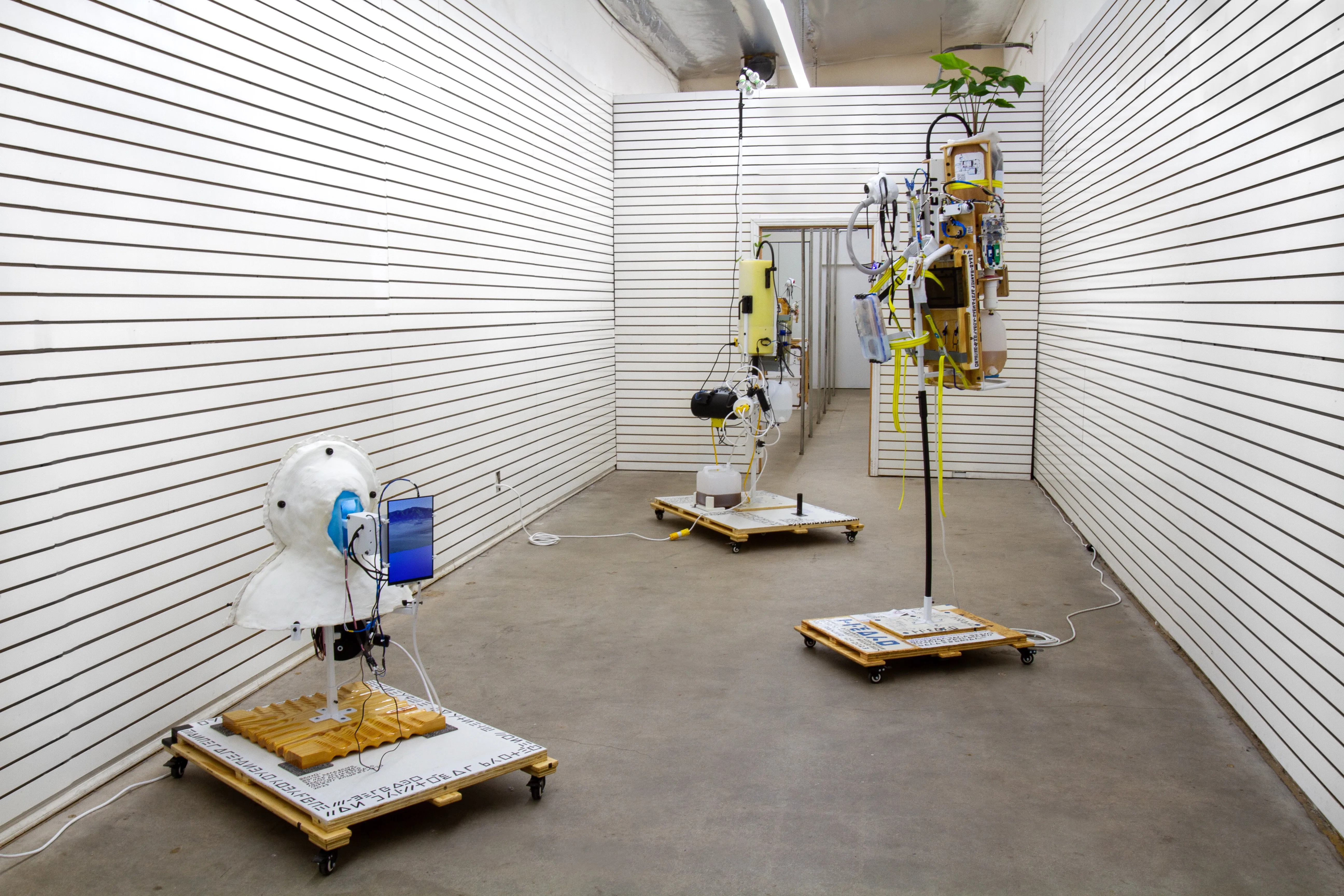 Porvenir/Portátil - Image 5